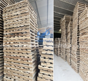Pallet Gỗ Mới Tại Bàu Bàng