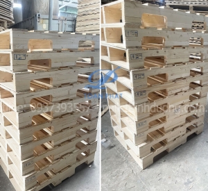Pallet Gỗ Mới Tại Tây Ninh