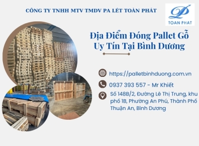 Địa Điểm Đóng Pallet Gỗ Tại Bình Dương