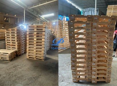 Đóng Pallet Gỗ Thông Mới Theo Yêu Cầu Tại Thuận An, Bình Dương - Pallet Toàn Phát