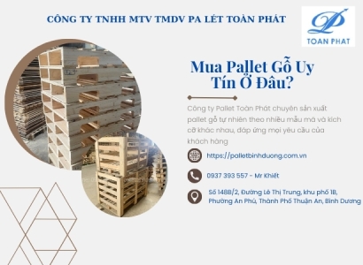 Mua Pallet Gỗ Uy Tín Ở Đâu?
